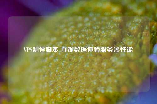 VPS测速脚本 直观数据体验服务器性能